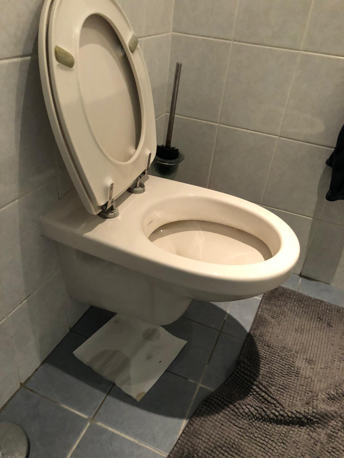 hangtoilet Roelofarendsveen